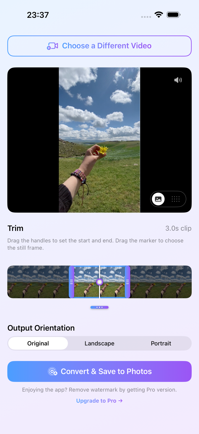 LiveMaker editor showing a video being trimmed into a Live Photo